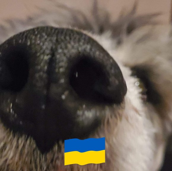 patrycjapaty163